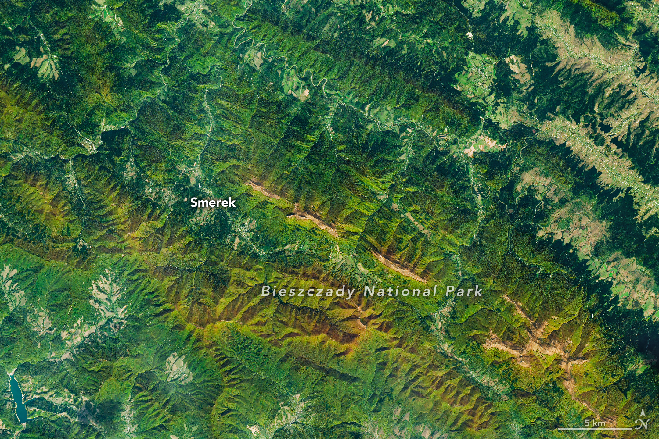 Bosques y praderas de Bieszczady captados por Landsat 9 el 8 de octubre de 2026