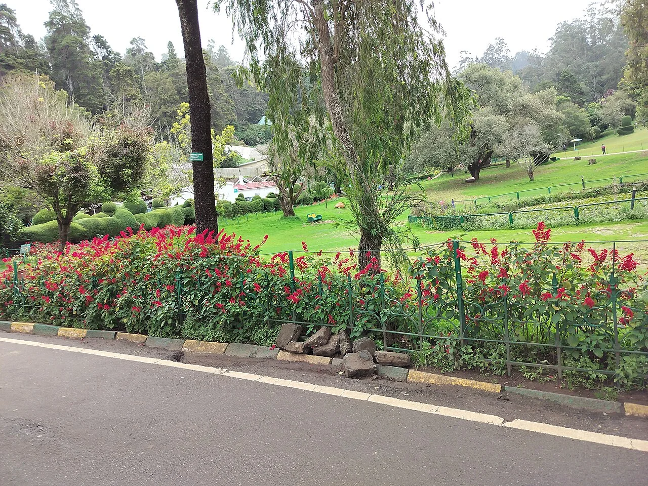 Jardín Botánico de Ooty, India, como contexto sobre diversidad vegetal.