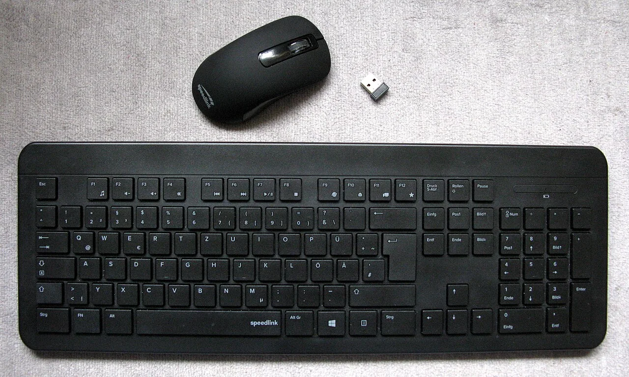 Teclado y ratón de ordenador.