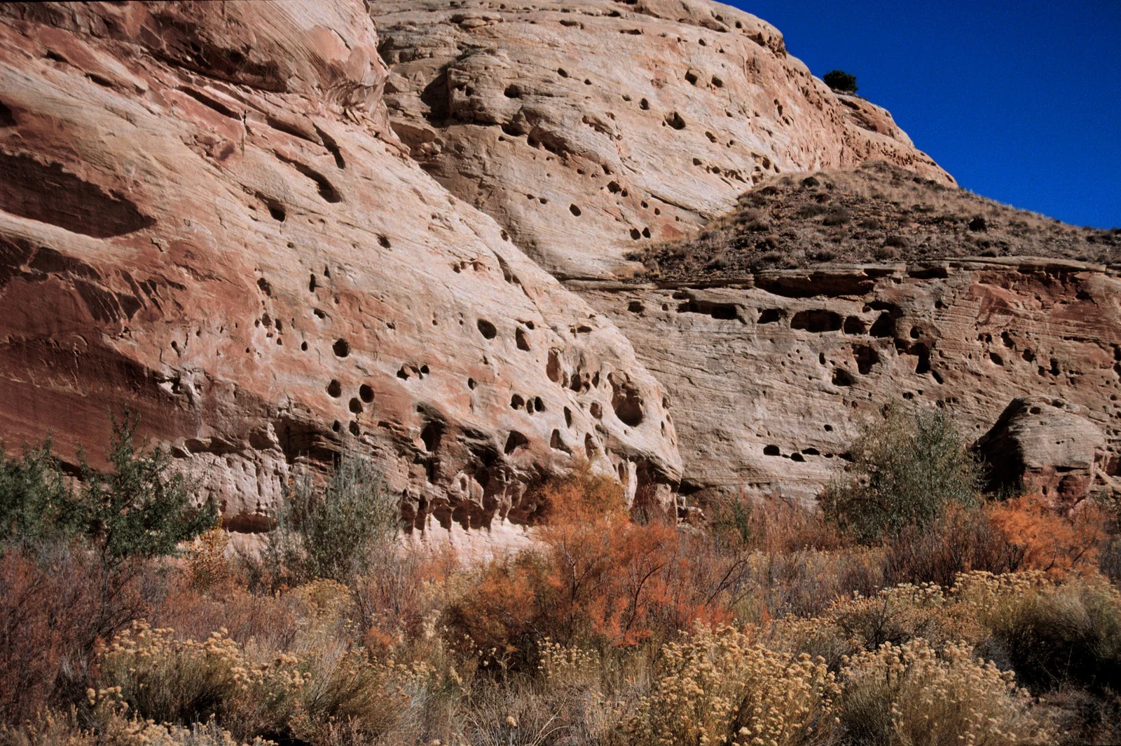 Afloramiento de arenisca con cavidades de erosión en Capitol Reef.