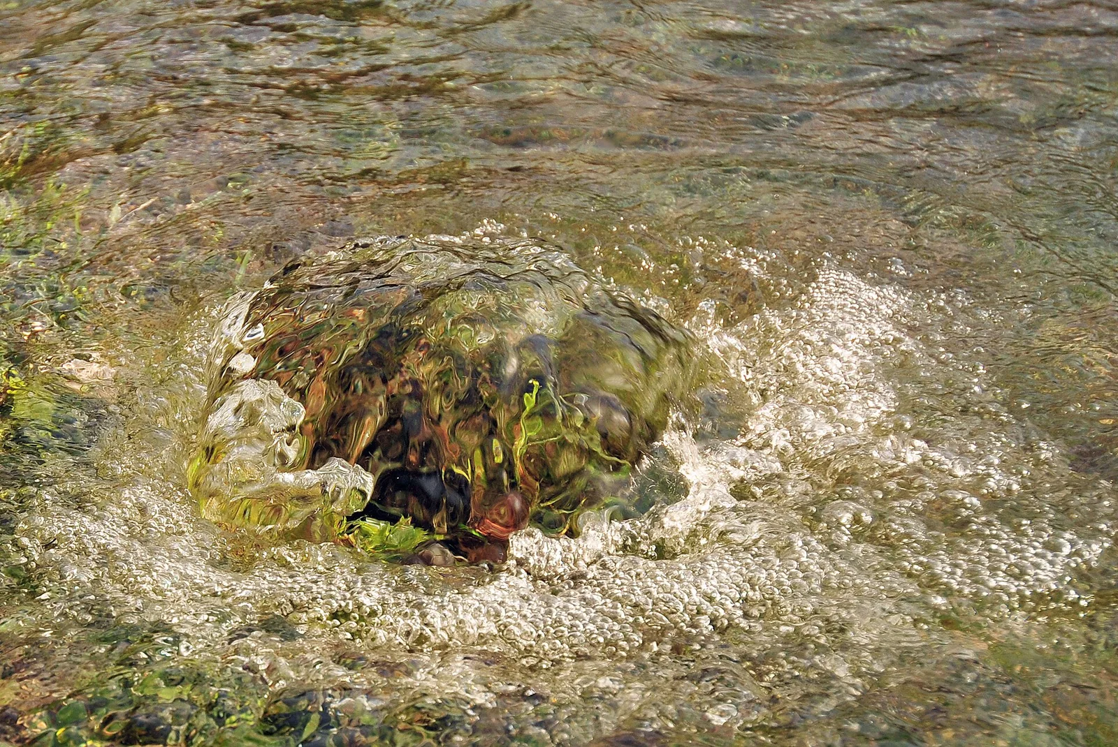 Agua brotando de una fuente artesiana cerca de los lagos de Fusine.