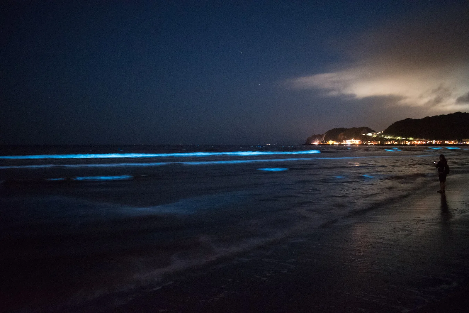 Brillo azul de organismos bioluminiscentes en una playa de Kamakura durante la noche.