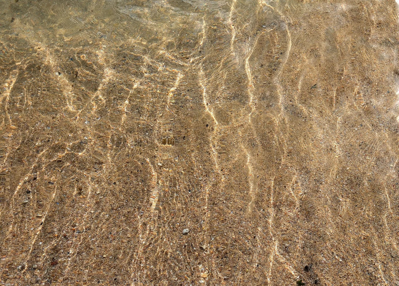 Arena y agua poco profunda en la costa de Porto Covo.