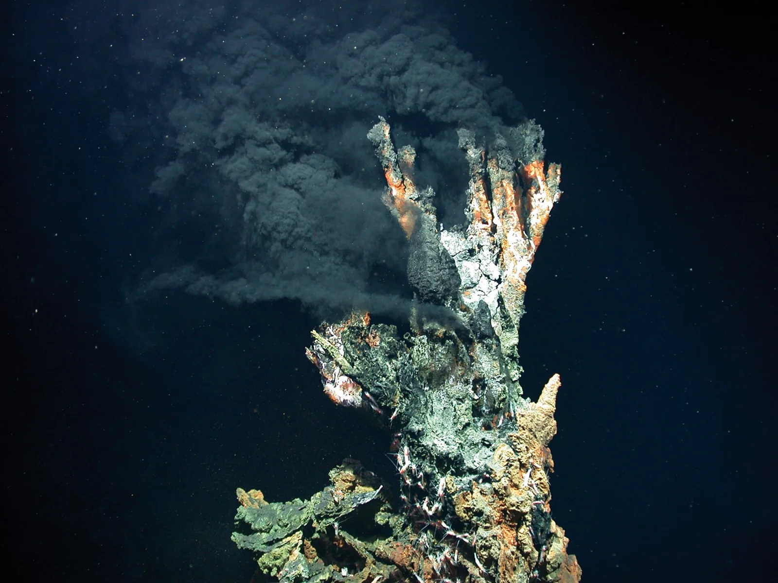 Chimenea hidrotermal que emite fluidos oscuros en el fondo oceánico.