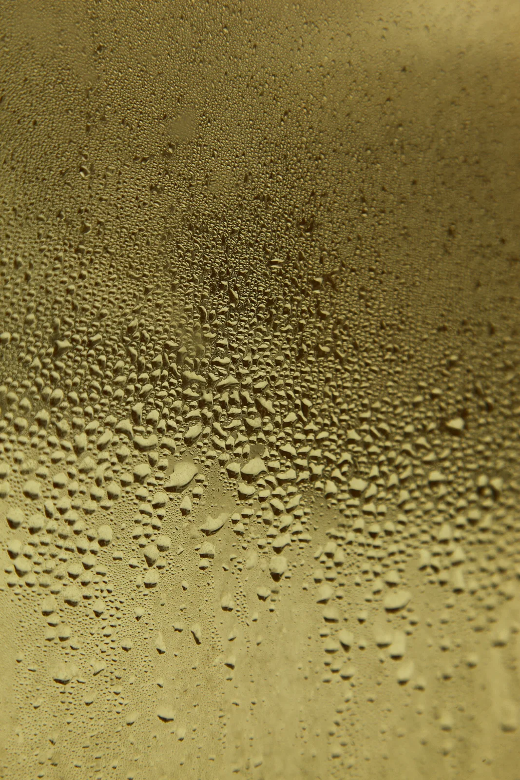 Gotas de condensación sobre un cristal con iluminación dorada.
