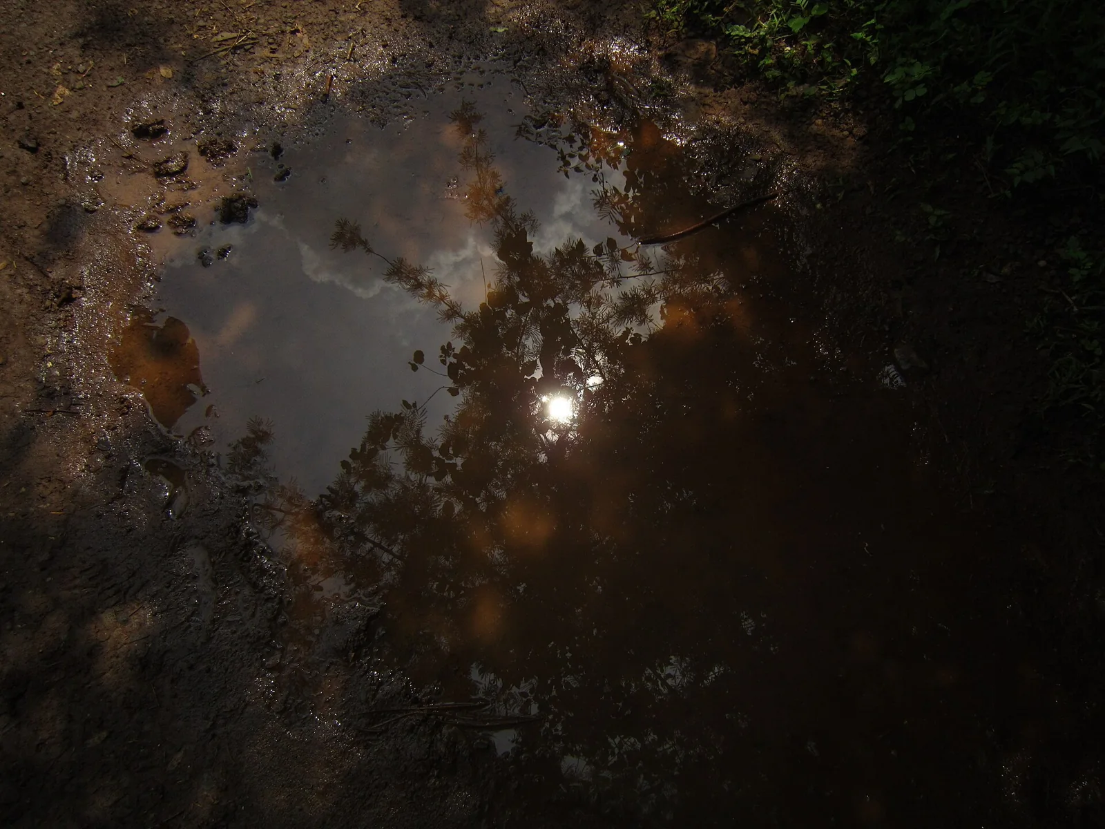 Reflejo de luz solar sobre un charco.