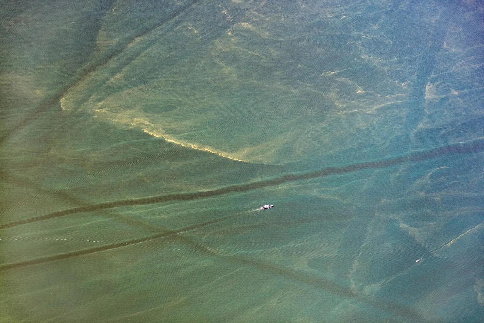 Proliferación de algas en aguas del sector occidental del lago Erie.