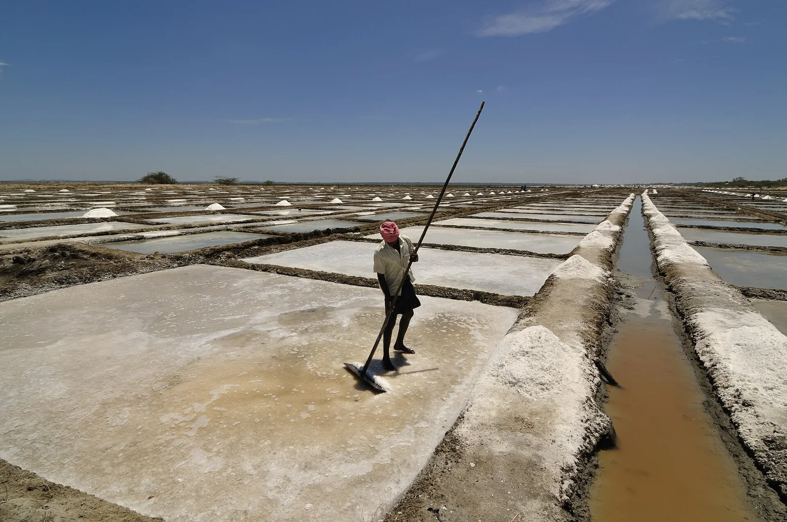 Una persona trabaja entre las balsas de las salinas de Marakkanam.