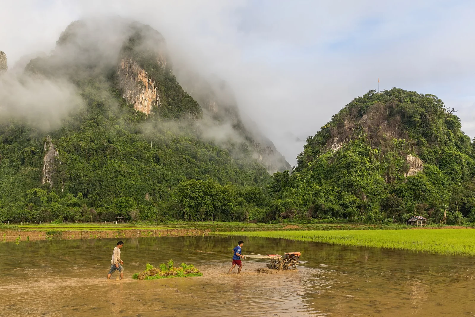 Agricultores con un tractor en un arrozal de Vang Vieng, Laos.