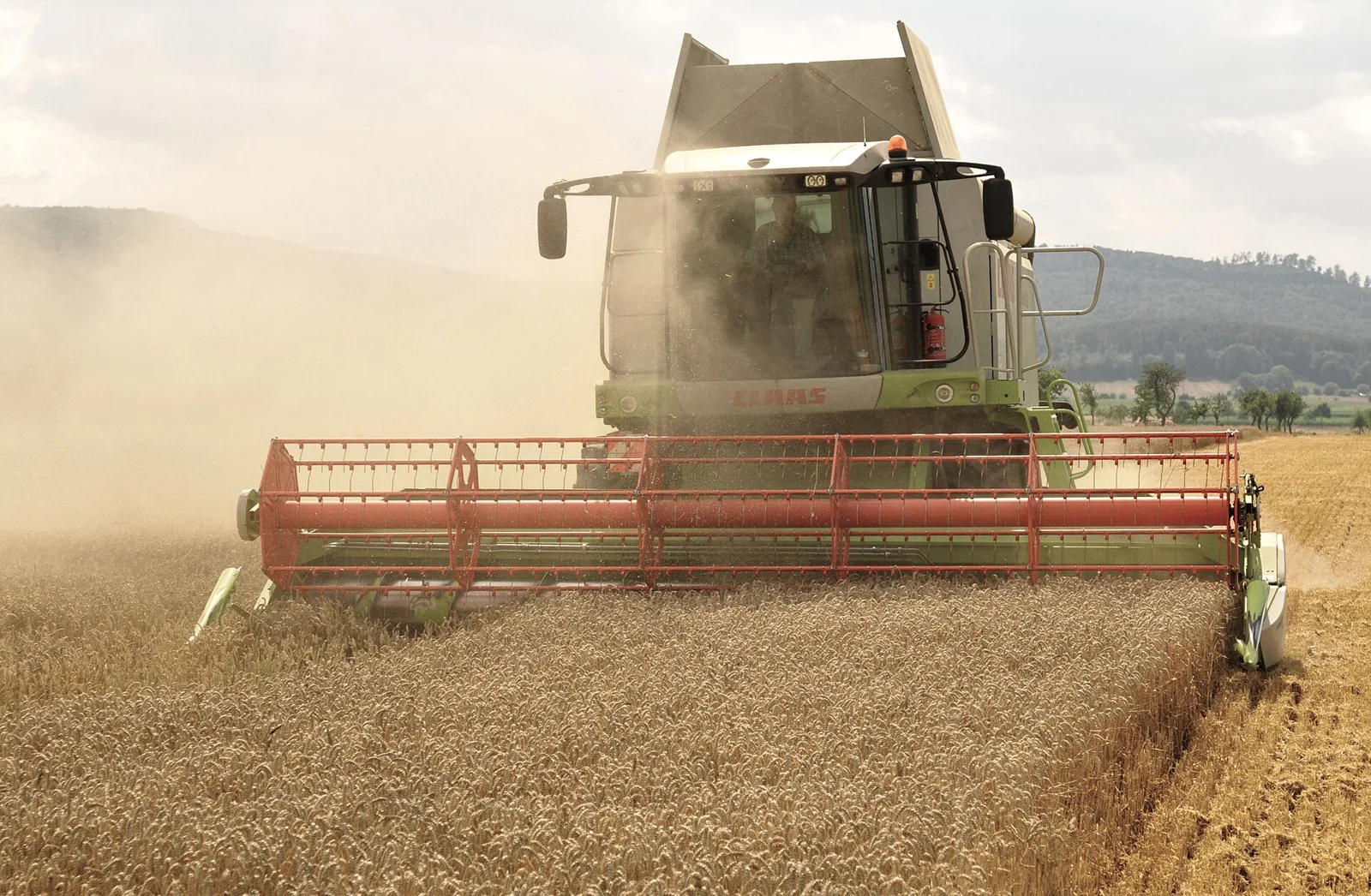 Cosechadora Claas Lexion trabajando en un campo de trigo.