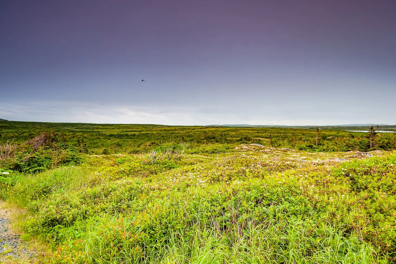 Área patrimonial de L’Anse aux Meadows, Terranova, Canadá.