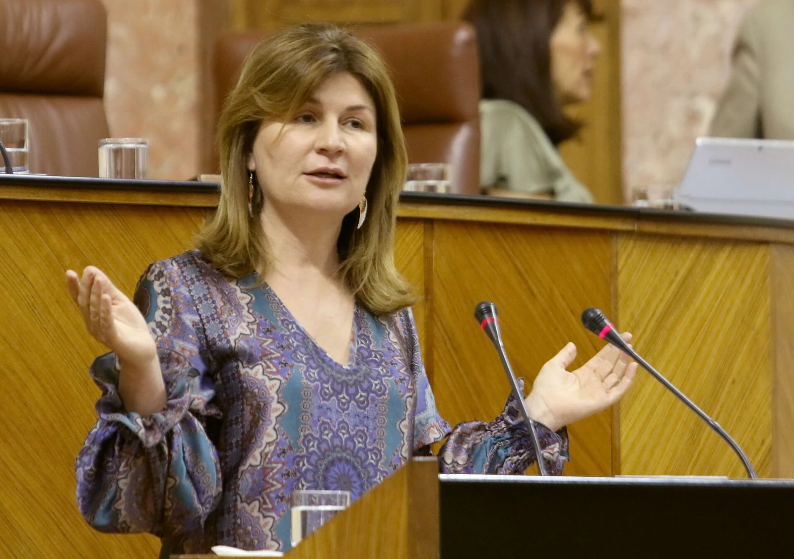 Una oradora interviene desde un escaño en el Parlamento de Andalucía.