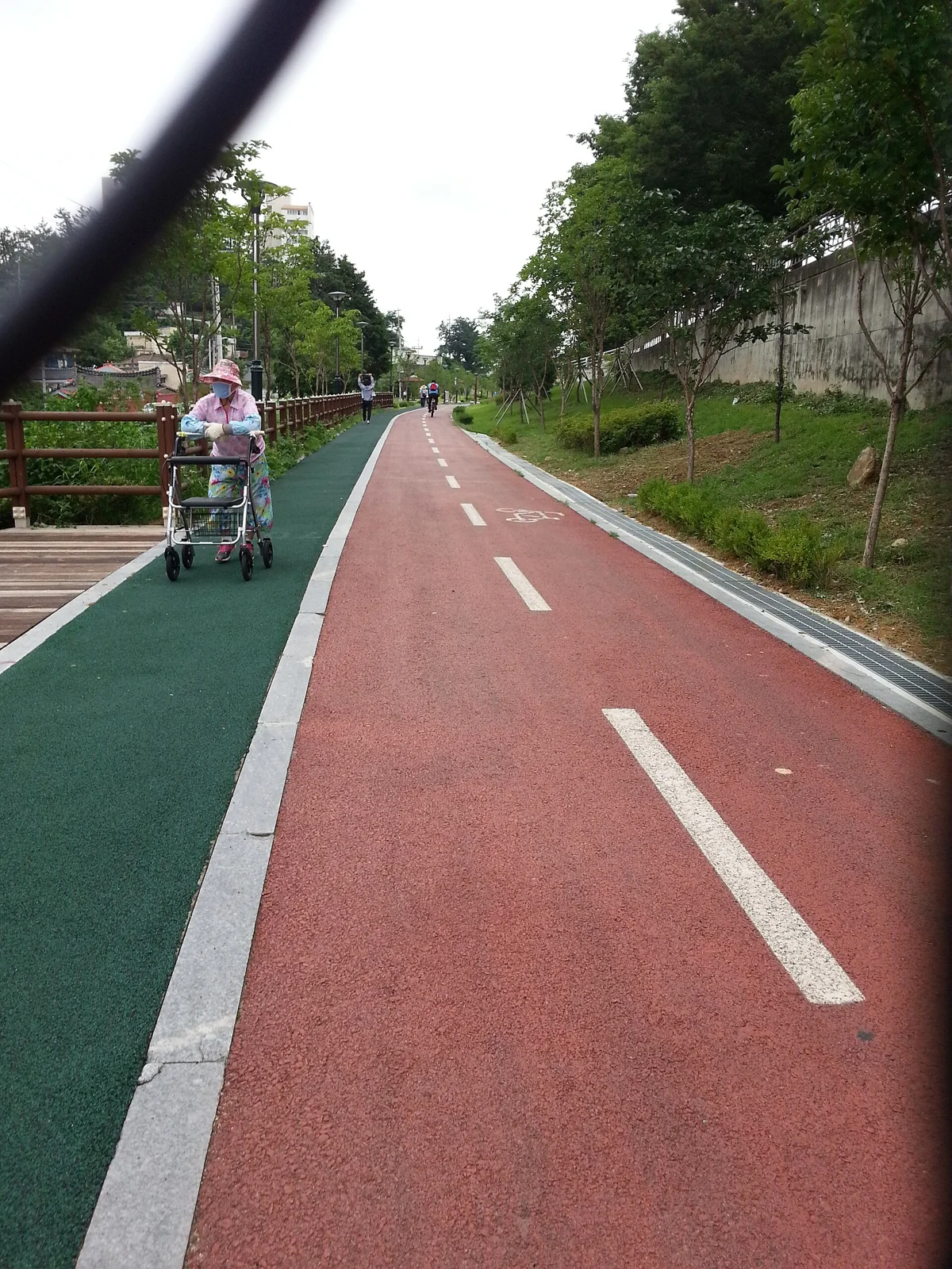 Una persona camina por un parque en Corea del Sur.