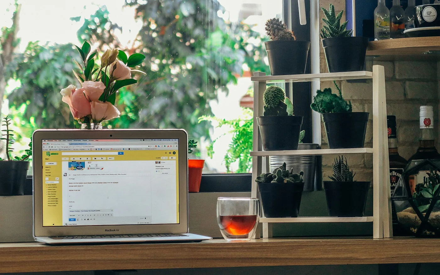 Portátil abierto en una mesa junto a una planta