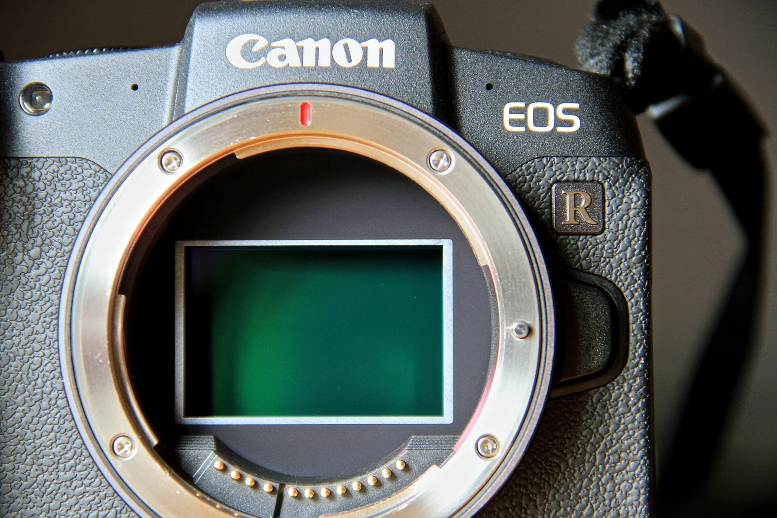 Sensor CMOS de una cámara Canon EOS RP.