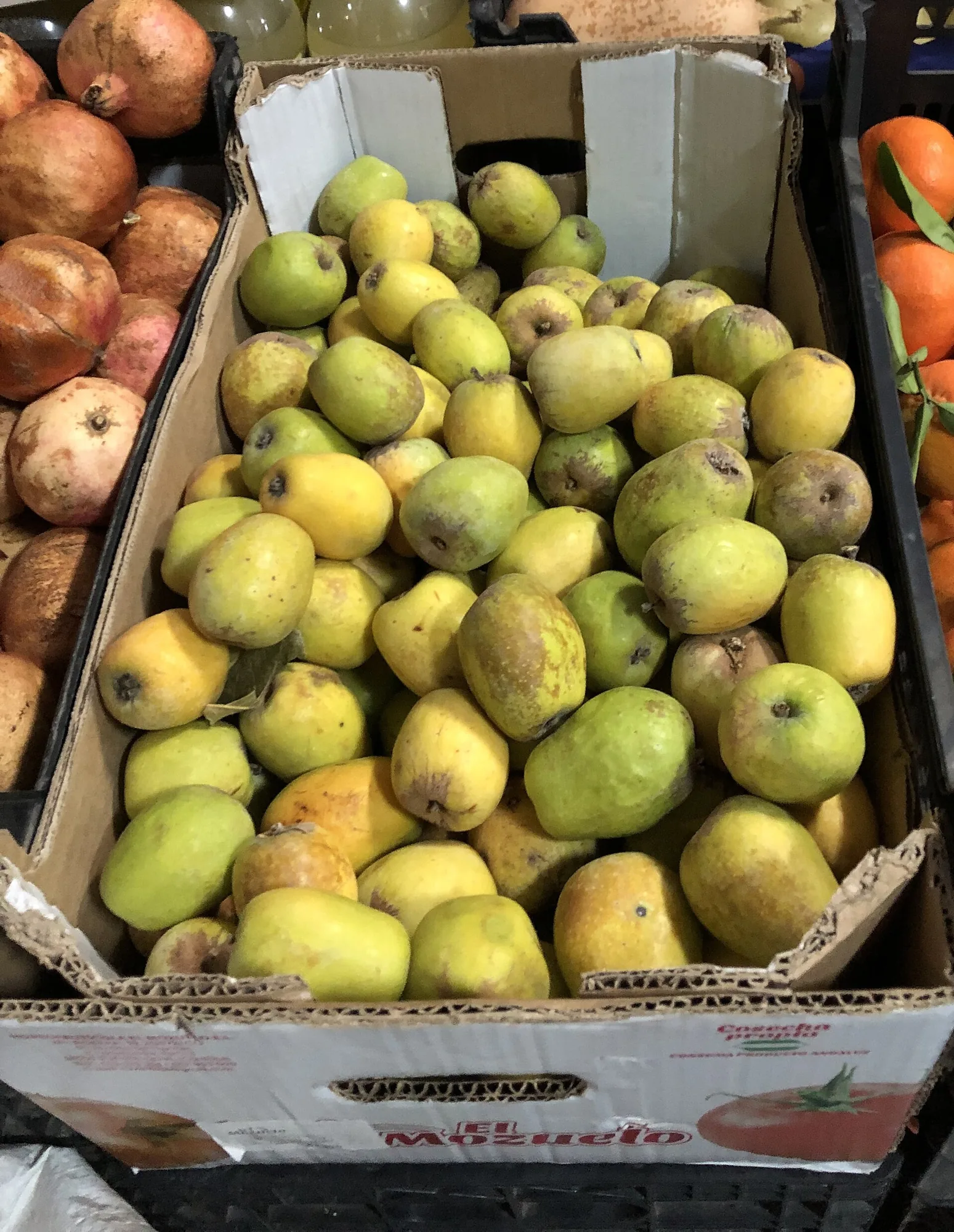 Fruta expuesta en un supermercado de Priego de Córdoba; archivo